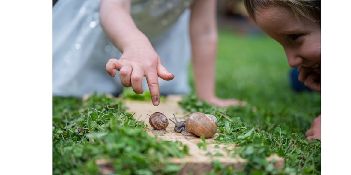 Dramatic Play Is Taking Place in the forest with this snail play.
